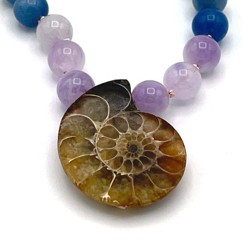 Ammonite Shell Pendant Chakra Necklace
